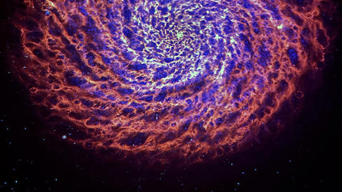 Simulated Galaxy 