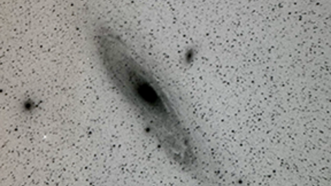 Glass plate image of the Andromeda Galaxy via the Harvard Plate Stacks