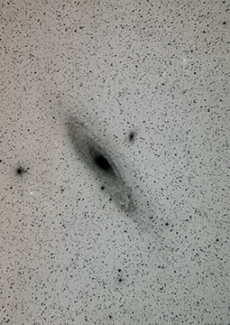 Glass plate image of the Andromeda Galaxy via the Harvard Plate Stacks