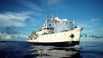 Calypso