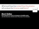 Title Page: What (and How) Can Lined-View Visualization tell us about the Universe, and Brains?