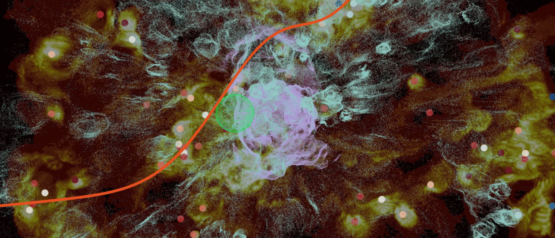 Feedback and bubbles in the Local Neighborhood of the Milky Way